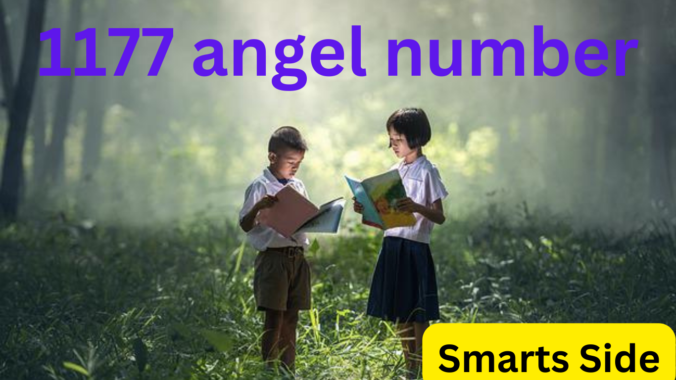 1177 angel number
