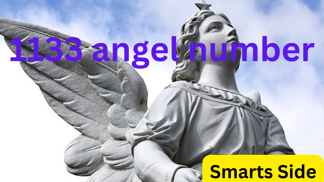 1133 Angel number