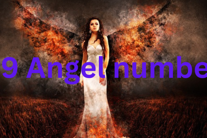 29 Angel number