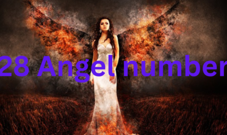 28 Angel number