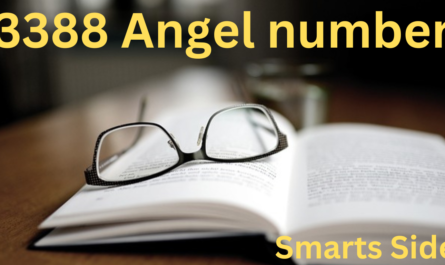 3388 Angel number